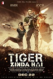 Tiger Zinda Hai 2017 HdRip